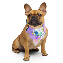 Load image into Gallery viewer, BizBaz Snacky Gang Hair, Fashion or Pet Bandana