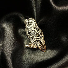 Load image into Gallery viewer, Owl pin - Barn owl