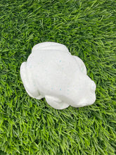 Load image into Gallery viewer, MYSTIC FROG SHOWER STEAMER