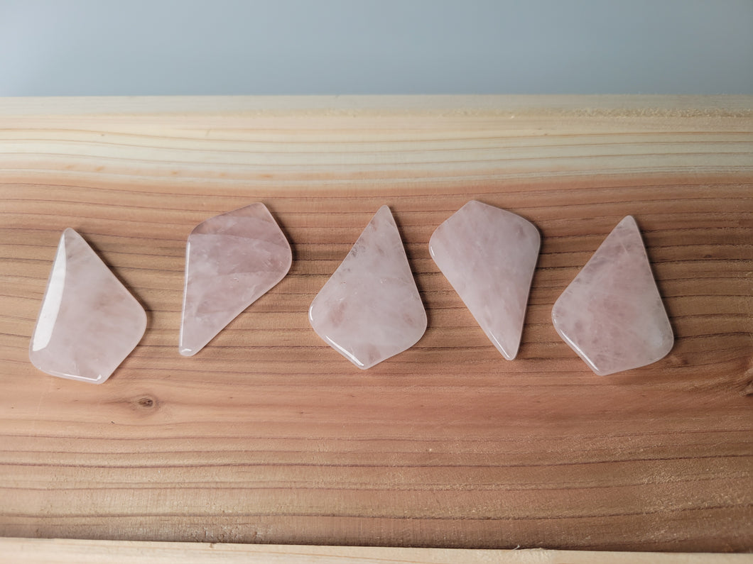 Rose Quartz Petal Shield Crystals