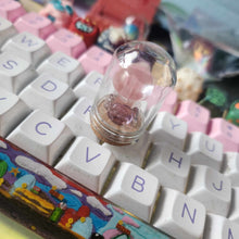 Load image into Gallery viewer, Mini Mushroom Terrariums
