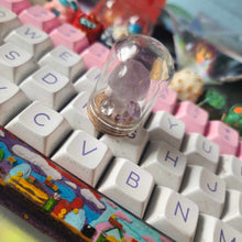 Load image into Gallery viewer, Mini Mushroom Terrariums
