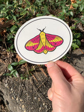 Load image into Gallery viewer, Beautiful Suncatcher Stickers: Ribcage, Moon, Beetle, Moth or Stim

