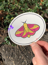 Load image into Gallery viewer, Beautiful Suncatcher Stickers: Ribcage, Moon, Beetle, Moth or Stim
