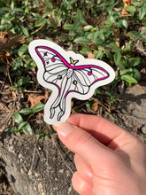 Load image into Gallery viewer, Beautiful Suncatcher Stickers: Ribcage, Moon, Beetle, Moth or Stim
