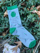 Load image into Gallery viewer, Stabby Assholes Frog Socks
