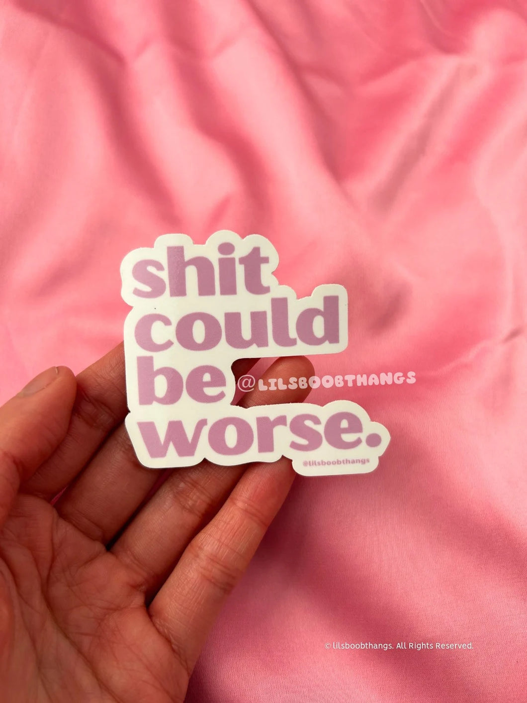 Shit Could Be Worse Sticker