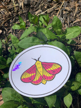 Load image into Gallery viewer, Beautiful Suncatcher Stickers: Ribcage, Moon, Beetle, Moth or Stim
