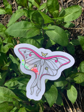Load image into Gallery viewer, Beautiful Suncatcher Stickers: Ribcage, Moon, Beetle, Moth or Stim
