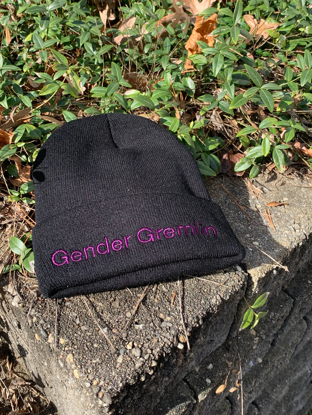 Gender Gremlin Beanie