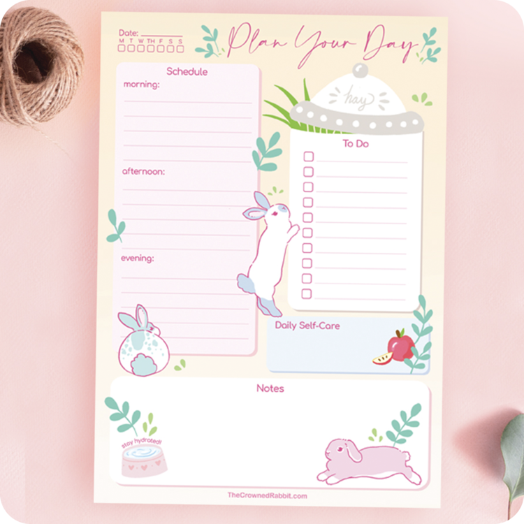 Plan Your Day Rabbit Memo Pad A5