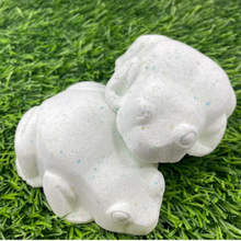 Load image into Gallery viewer, MYSTIC FROG SHOWER STEAMER
