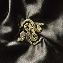 Load image into Gallery viewer, Twin Snakes - Gold and Black Enamel Pin

