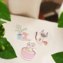 Load image into Gallery viewer, Funny and Cute Anxious Cat Stickers (1 PC)
